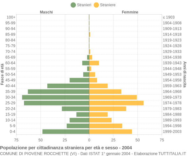 Grafico cittadini stranieri - Piovene Rocchette 2004