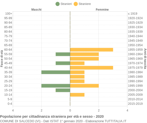 Grafico cittadini stranieri - Salcedo 2020