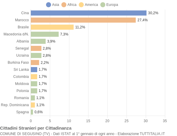 Grafico cittadinanza stranieri - Segusino 2007