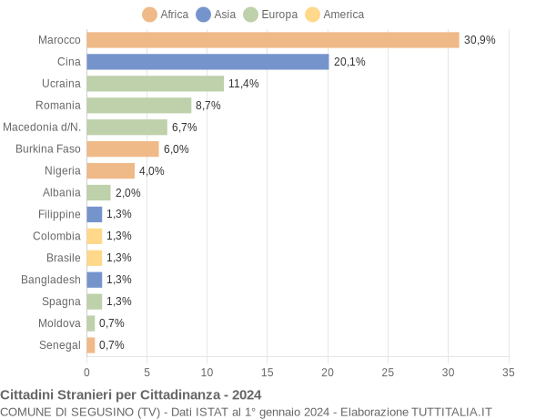 Grafico cittadinanza stranieri - Segusino 2024