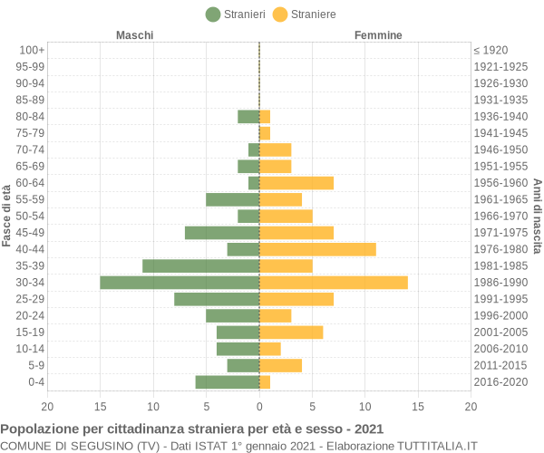Grafico cittadini stranieri - Segusino 2021