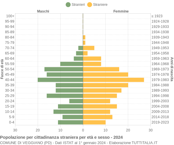 Grafico cittadini stranieri - Veggiano 2024