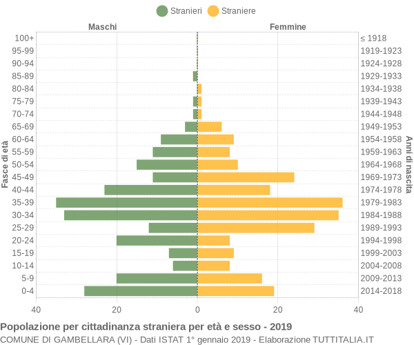 Grafico cittadini stranieri - Gambellara 2019