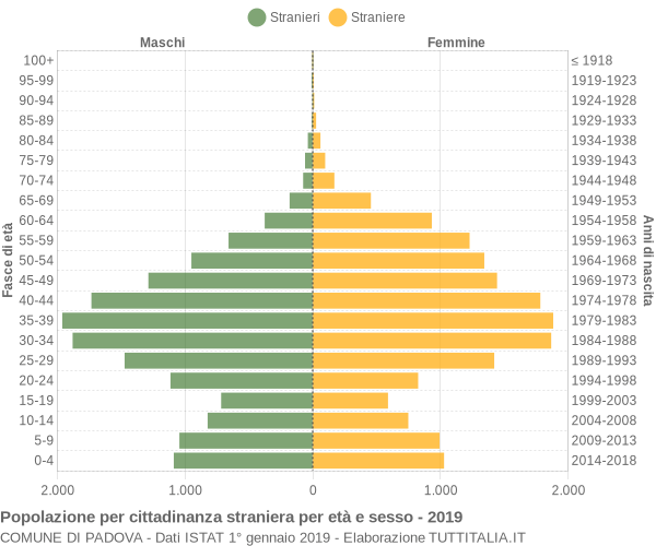 Grafico cittadini stranieri - Padova 2019