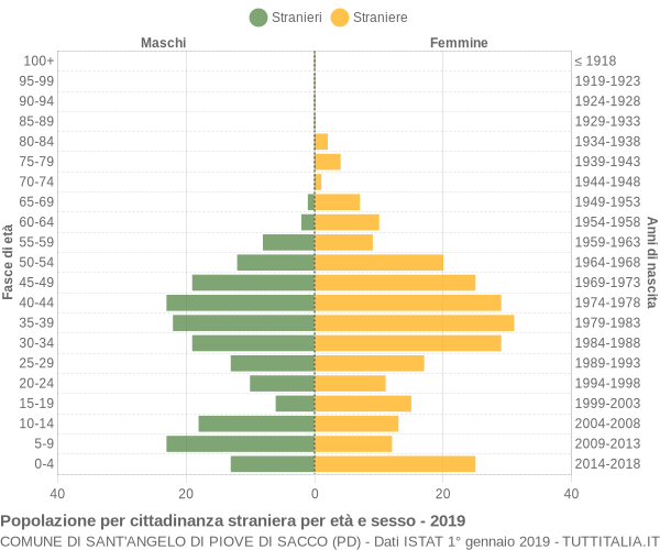 Grafico cittadini stranieri - Sant'Angelo di Piove di Sacco 2019