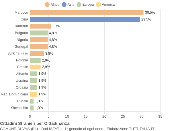 Grafico cittadinanza stranieri - Vas 2010