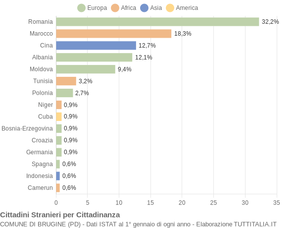 Grafico cittadinanza stranieri - Brugine 2012