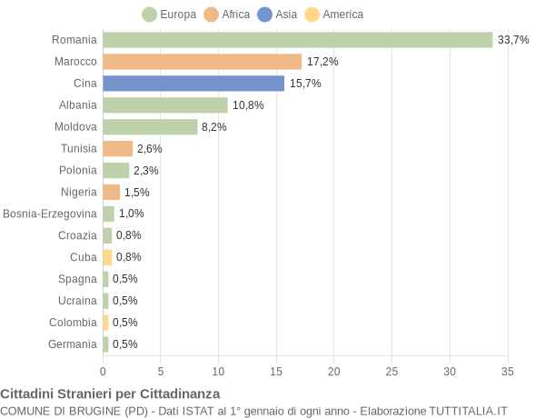 Grafico cittadinanza stranieri - Brugine 2013