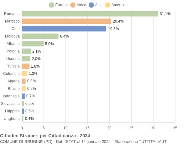 Grafico cittadinanza stranieri - Brugine 2024