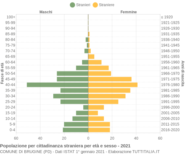 Grafico cittadini stranieri - Brugine 2021