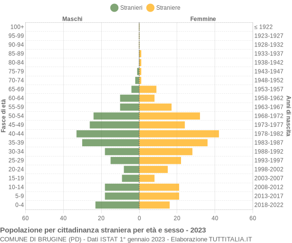 Grafico cittadini stranieri - Brugine 2023