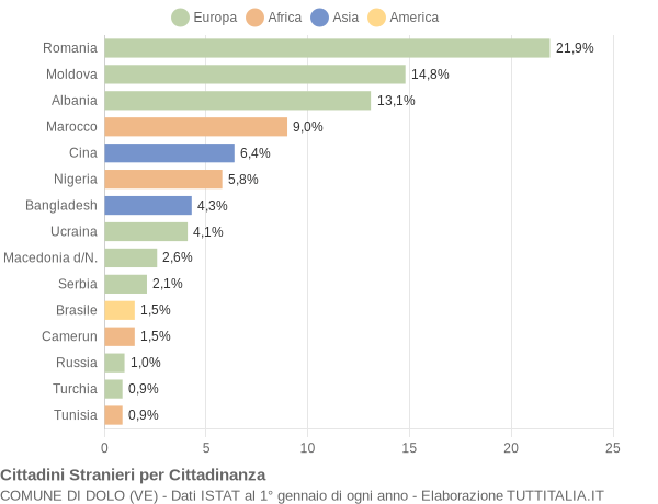 Grafico cittadinanza stranieri - Dolo 2009