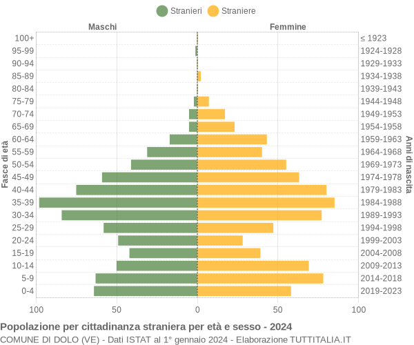 Grafico cittadini stranieri - Dolo 2024