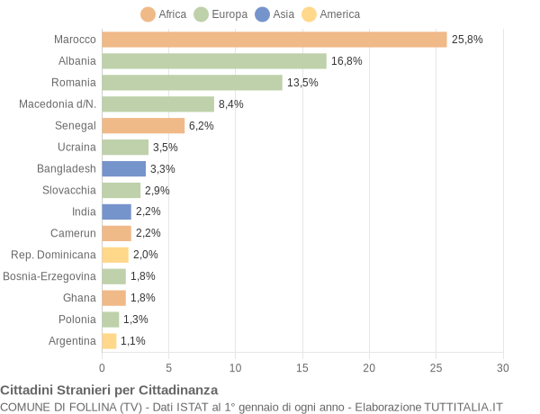 Grafico cittadinanza stranieri - Follina 2005