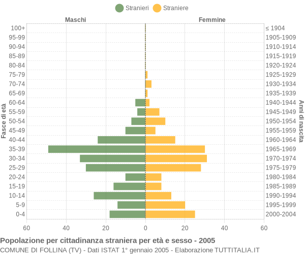 Grafico cittadini stranieri - Follina 2005