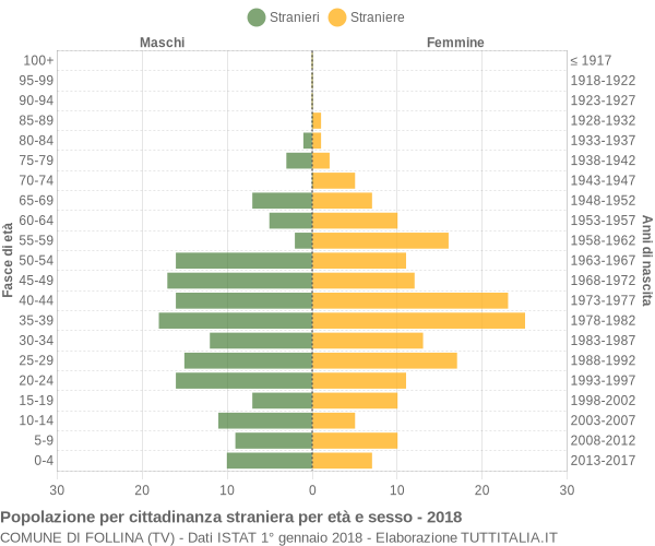 Grafico cittadini stranieri - Follina 2018