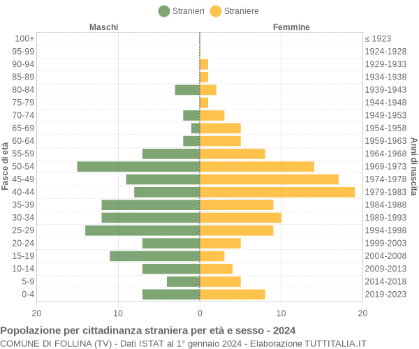 Grafico cittadini stranieri - Follina 2024