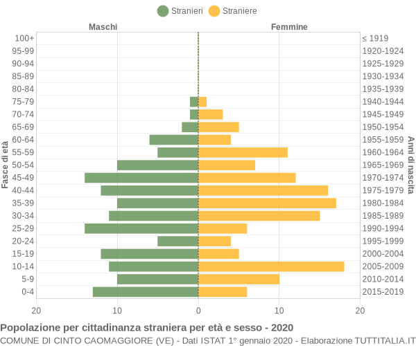 Grafico cittadini stranieri - Cinto Caomaggiore 2020