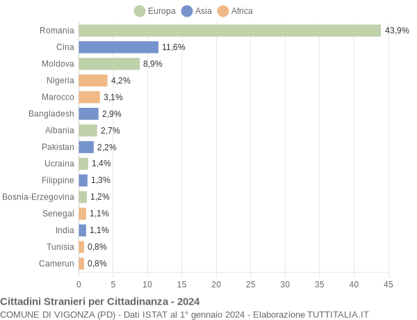 Grafico cittadinanza stranieri - Vigonza 2024