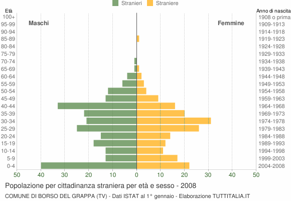 Grafico cittadini stranieri - Borso del Grappa 2008
