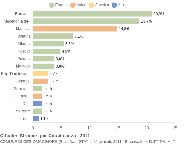 Grafico cittadinanza stranieri - Cesiomaggiore 2011