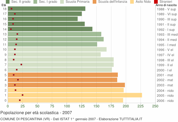 Grafico Popolazione in età scolastica - Pescantina 2007