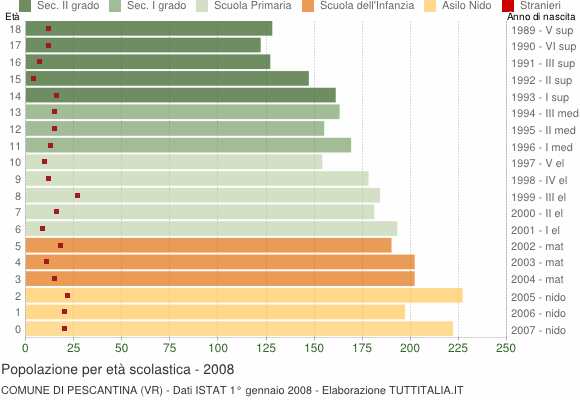 Grafico Popolazione in età scolastica - Pescantina 2008