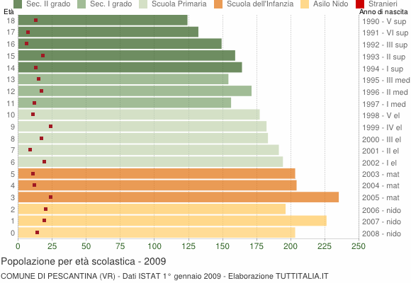 Grafico Popolazione in età scolastica - Pescantina 2009