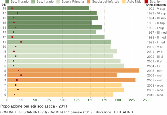 Grafico Popolazione in età scolastica - Pescantina 2011