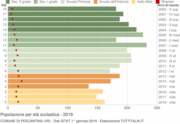 Grafico Popolazione in età scolastica - Pescantina 2019