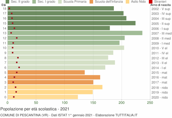 Grafico Popolazione in età scolastica - Pescantina 2021