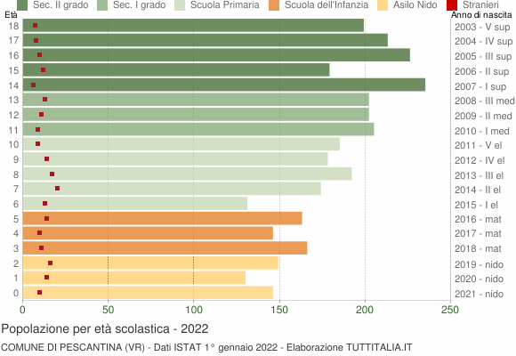 Grafico Popolazione in età scolastica - Pescantina 2022