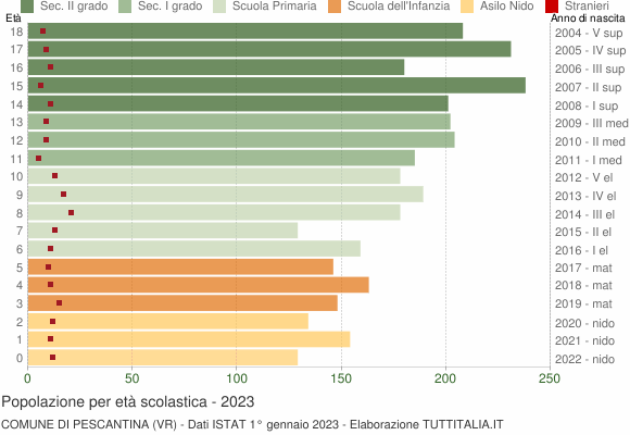 Grafico Popolazione in età scolastica - Pescantina 2023