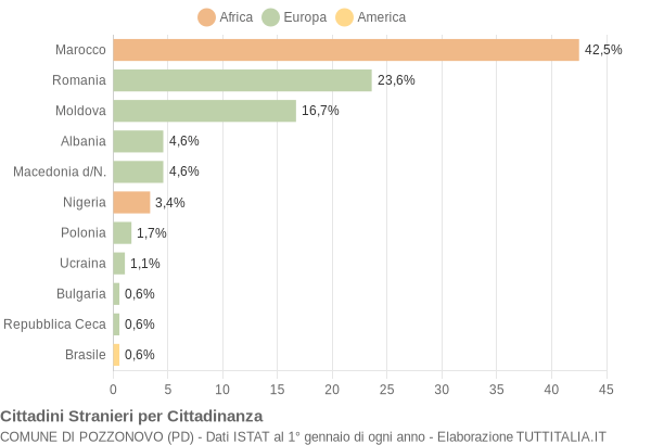 Grafico cittadinanza stranieri - Pozzonovo 2009