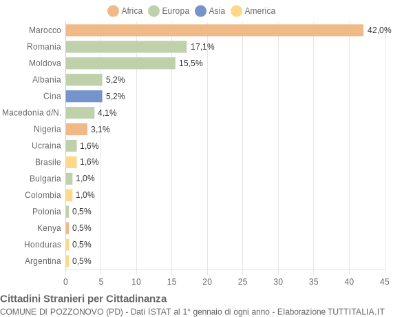 Grafico cittadinanza stranieri - Pozzonovo 2011