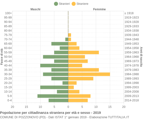 Grafico cittadini stranieri - Pozzonovo 2019