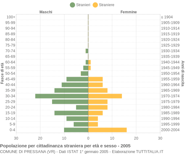 Grafico cittadini stranieri - Pressana 2005