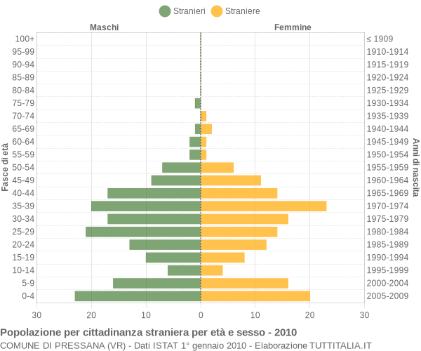 Grafico cittadini stranieri - Pressana 2010