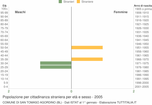 Grafico cittadini stranieri - San Tomaso Agordino 2005