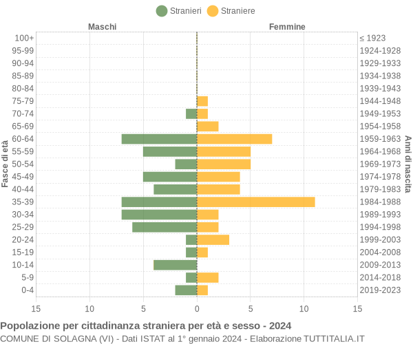 Grafico cittadini stranieri - Solagna 2024