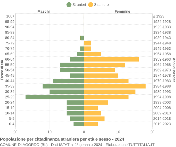 Grafico cittadini stranieri - Agordo 2024