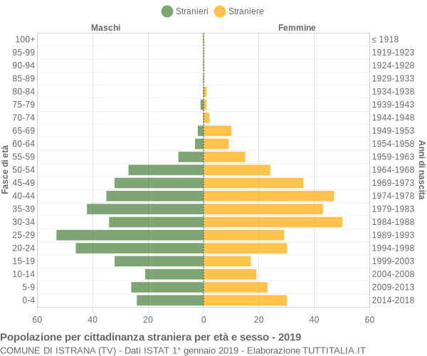 Grafico cittadini stranieri - Istrana 2019