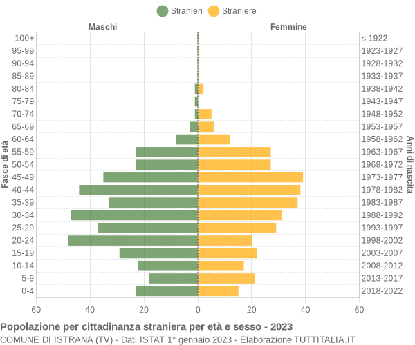 Grafico cittadini stranieri - Istrana 2023