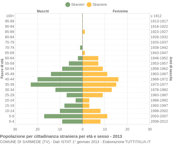 Grafico cittadini stranieri - Sarmede 2013