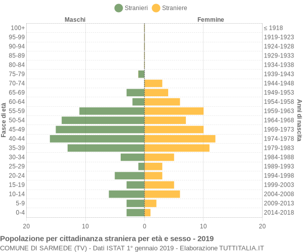 Grafico cittadini stranieri - Sarmede 2019