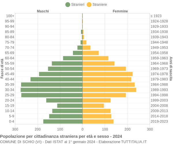 Grafico cittadini stranieri - Schio 2024