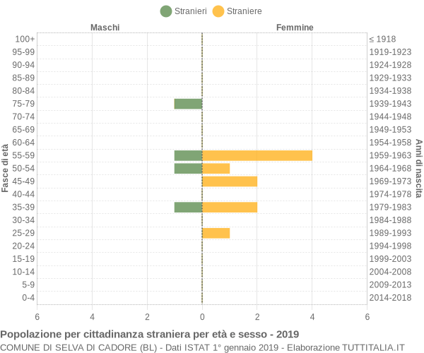 Grafico cittadini stranieri - Selva di Cadore 2019