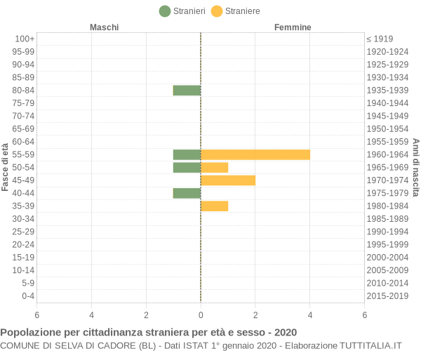 Grafico cittadini stranieri - Selva di Cadore 2020