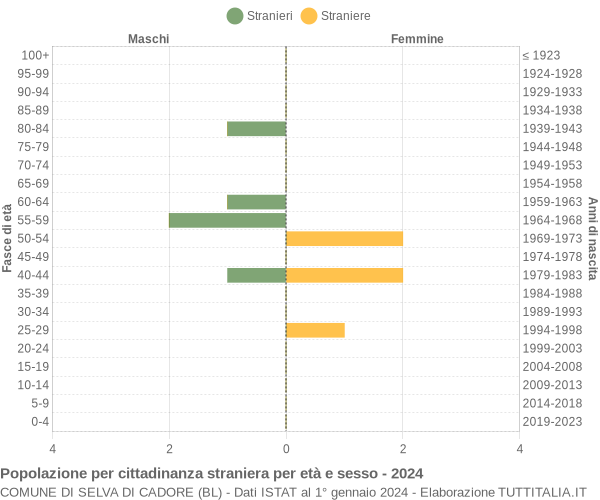 Grafico cittadini stranieri - Selva di Cadore 2024