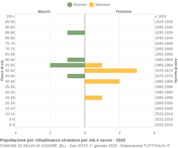Grafico cittadini stranieri - Selva di Cadore 2025